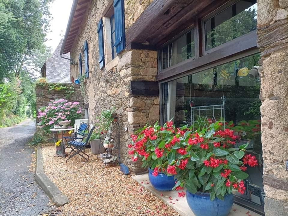 La Maison Bleue Juillac  ภายนอก รูปภาพ