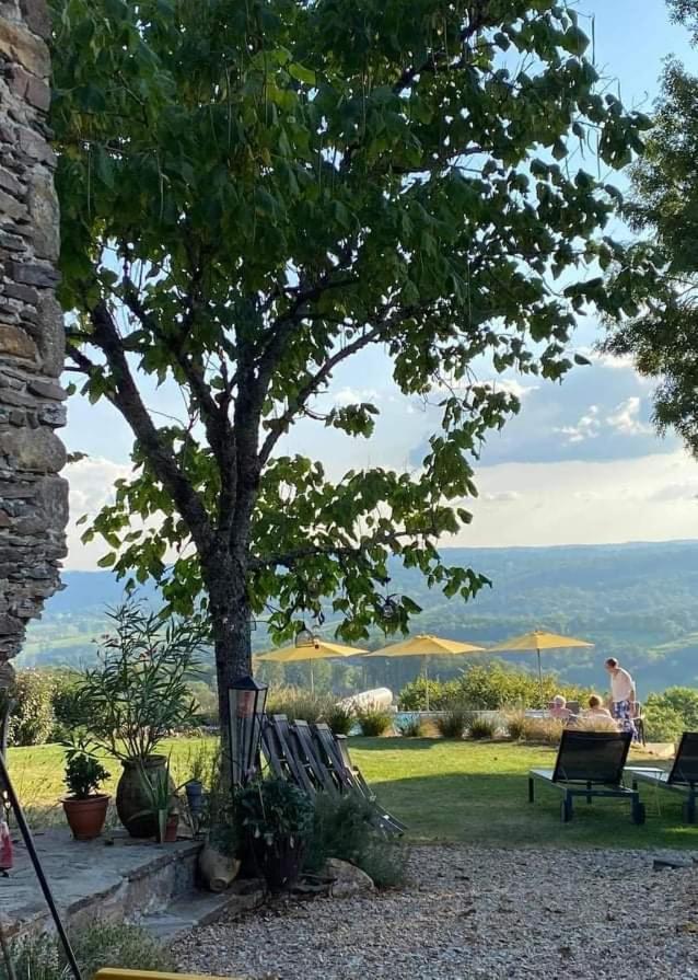 La Maison Bleue Juillac  ภายนอก รูปภาพ